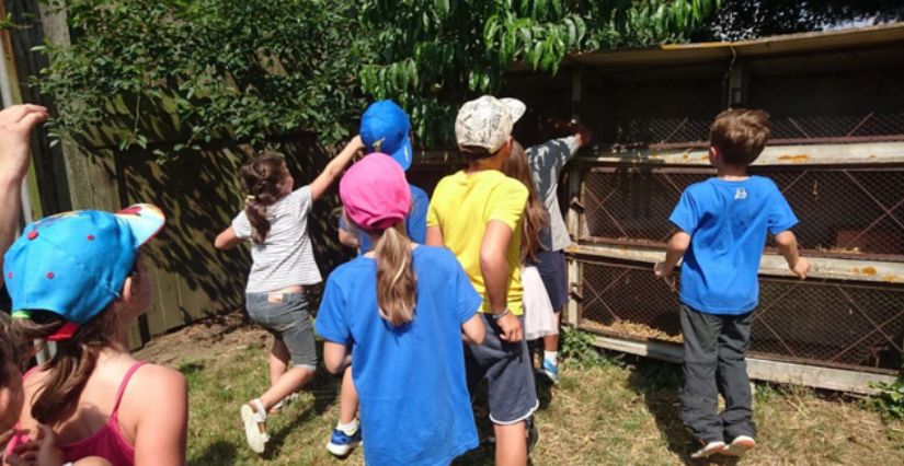 Enfants en ateliers fermier d'un soir à la ferme les Anes du Canal