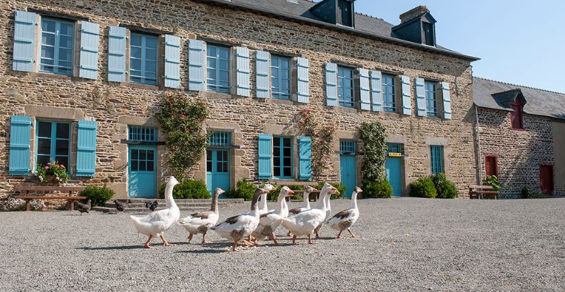 Ecomusée pour les enfants et les parents au coeur de Rennes. Crédits photo : CC BY SA Alain Amet