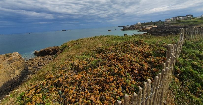 Balade à la pointe de la Varde à Saint-Malo, crédits photo : F. Picouleau