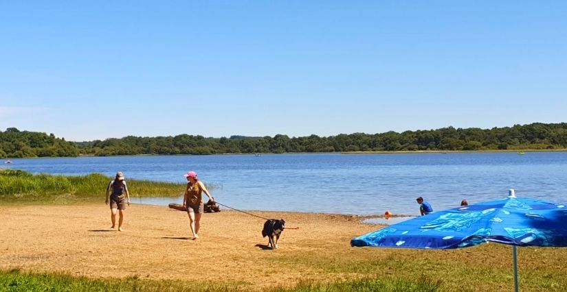 Sortie rafraîchissante à l'étang de Boulet en famille, à 20 min de Rennes. Balade, baignade, activités nautiques