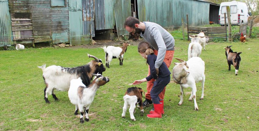 Visiter une ferme en famille