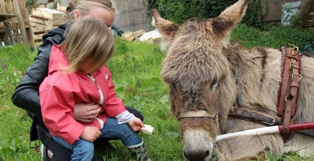 La Combe aux Ânes : ferme pédagogique, stage fermiers et randonnées contées