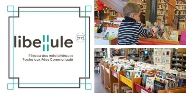 Libellule, réseau de bibliothèques de la Roches aux Fées