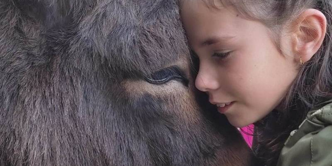 Stage enfants et ados "Un après-midi avec mon âne" à La Combe aux ânes à Lanvellec