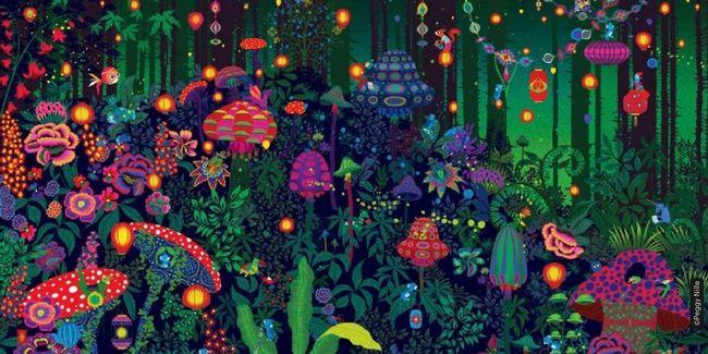 Les univers de Peggy Nille dans le cadre Salon du livre jeunesse de Fougères