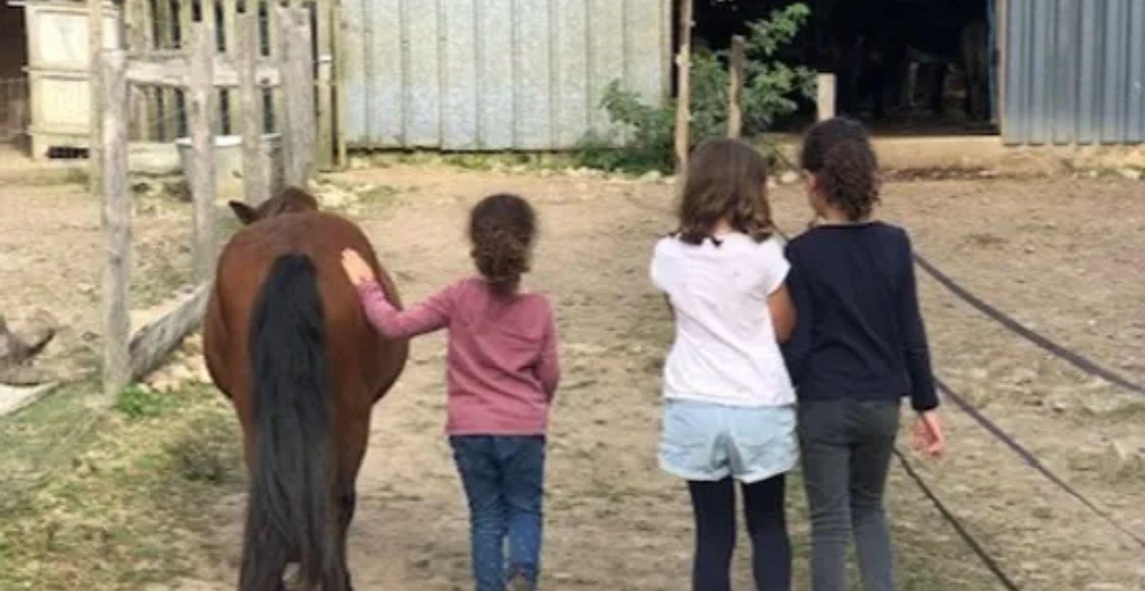 "Fermier d'un soir", atelier nature à la ferme Les Ânes du Canal près de Combourg