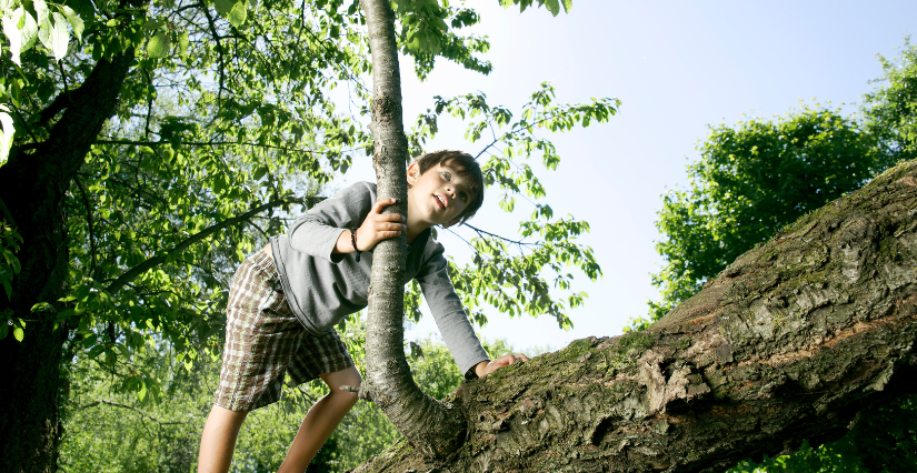 Écomusée Perché, découvertes autour des arbres à l'Ecomusée de la Bintinais à Rennes