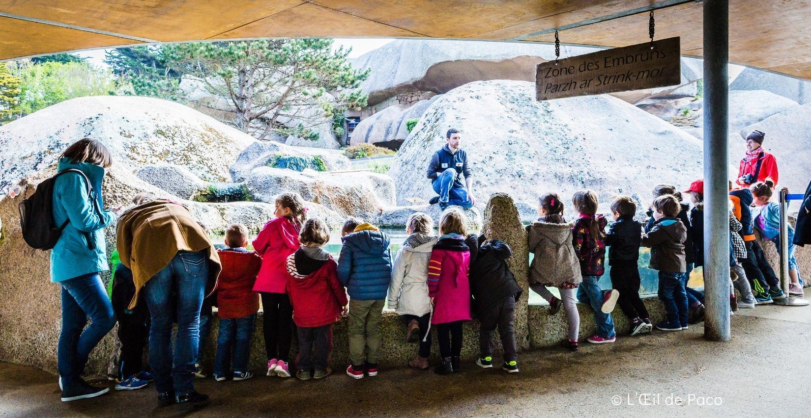 Visite guidée avec un animateur scientifique à l'Aquarium de Trégastel