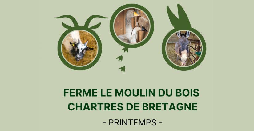 Ateliers et stage printaniers à la ferme le Moulin du Bois près de Rennes