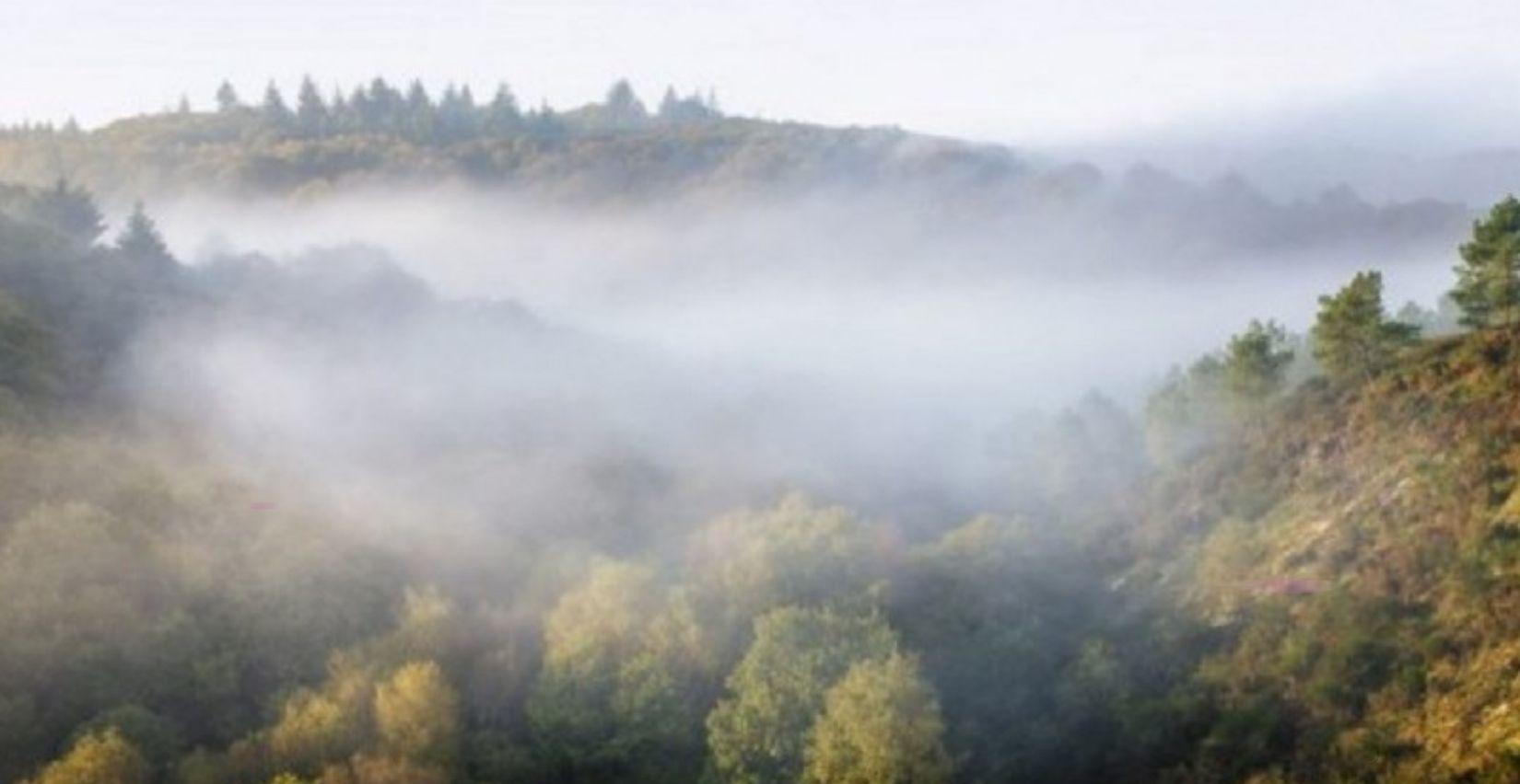 "Le Grand Val Enchanteur", balade contée en Brocéliande