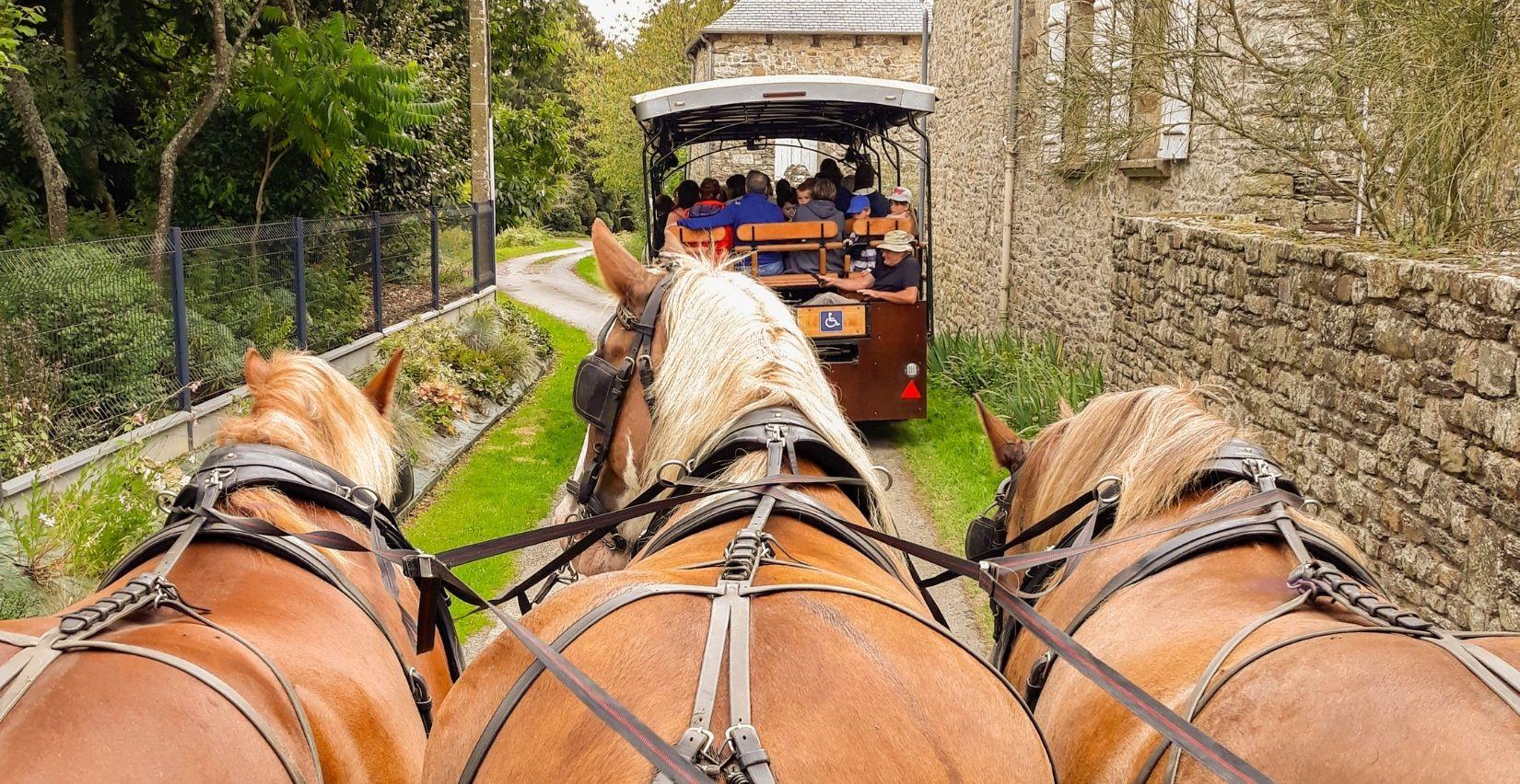 "La calèche légendaire", balade contée en Brocéliande