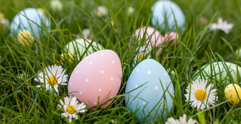 Chasse aux œufs 2026 en famille à Dinard
