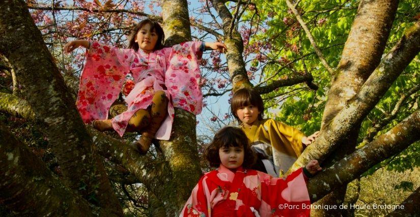 Activités nature et japon au Parc Botanique de Haute Bretagne près de Fougères