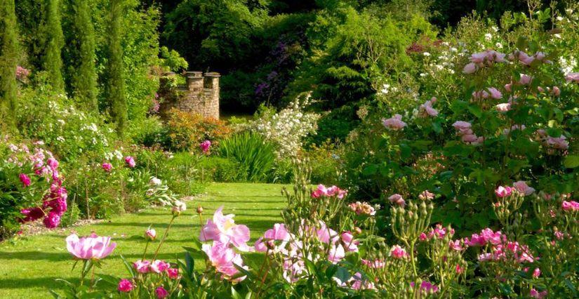 Un été au Parc Botanique de Haute Bretagne près de Fougères