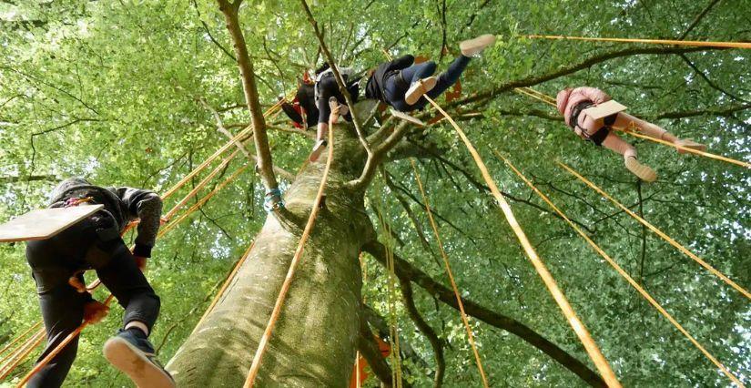 crédit photo LaHaut Grimpe d'arbre pour les ados à Rennes