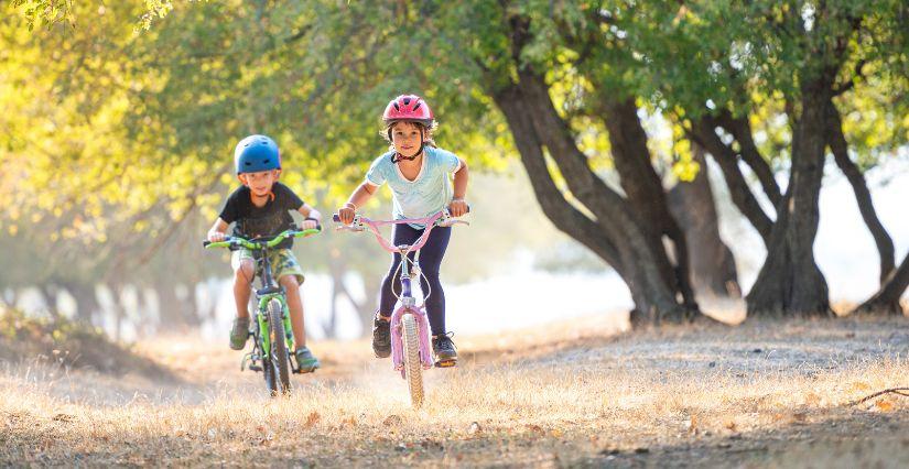 Les Balades à Roulettes®, les randonnées accessibles pour tous avec la FFRandonnée d'Ille-et-Vilaine