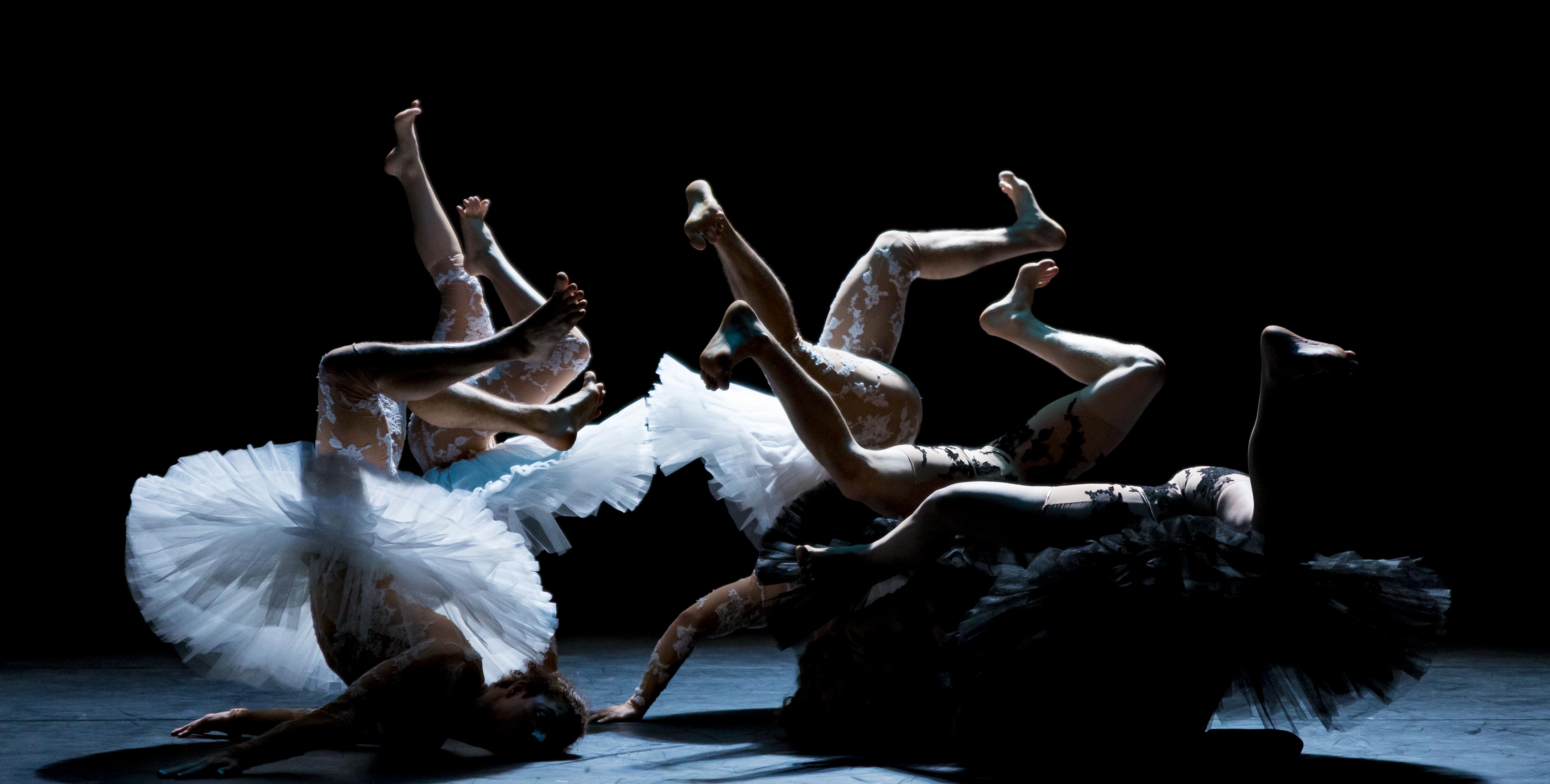 "Le Lac des Cygnes", spectacle circassien avec Ay-Roop près de Rennes