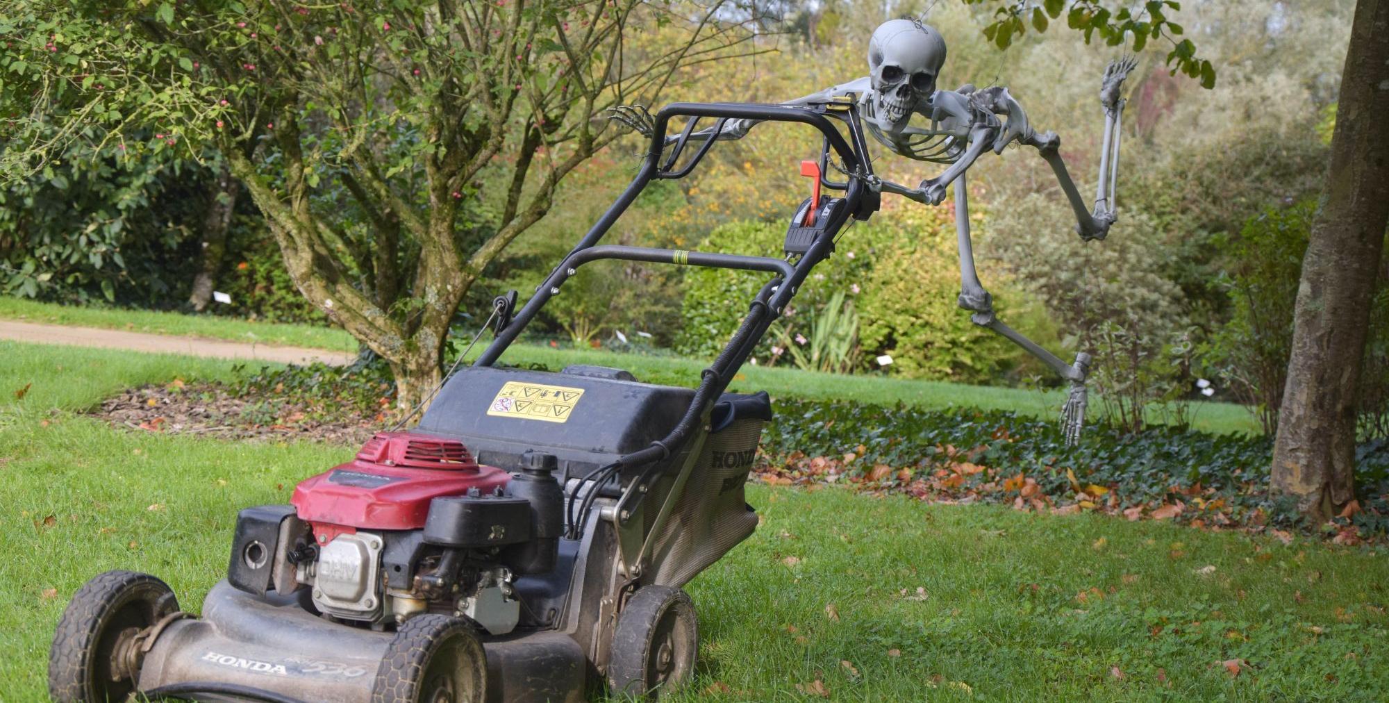 Les Jardins ensorcelés pour Halloween aux Jardins de Brocéliande près de Rennes