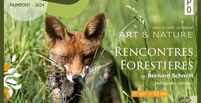 Exposition "Rencontres Forestières" à l'Office de Tourisme de Brocéliande