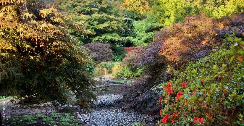 © Parc Botanique de Haute-Bretagne Les vacances d'automne au Parc Botanique près de Fougères