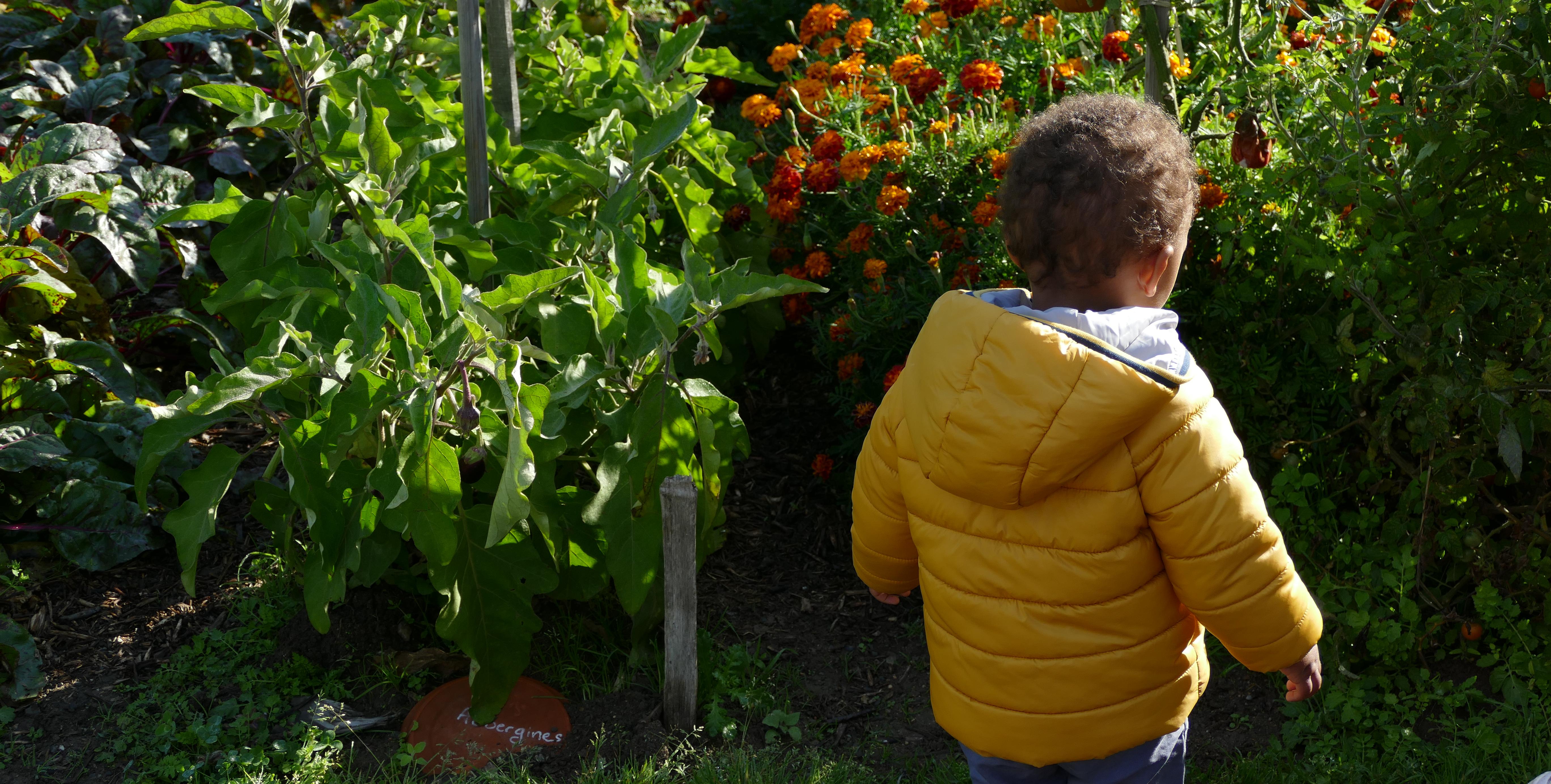 Atelier en famille "Fleurs, chamboule tes sens !" à l'Ecomusée de la Bintinais à Rennes