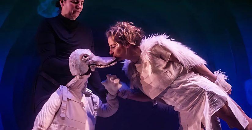 © Théâtre St Malo Spectacle, "Le renard et la terre", Saint-Malo