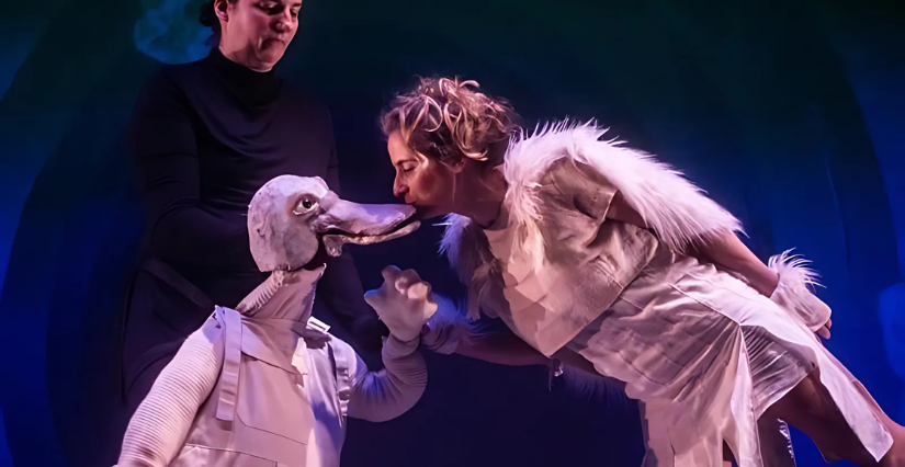 Spectacle, "Le renard et la terre", Saint-Malo