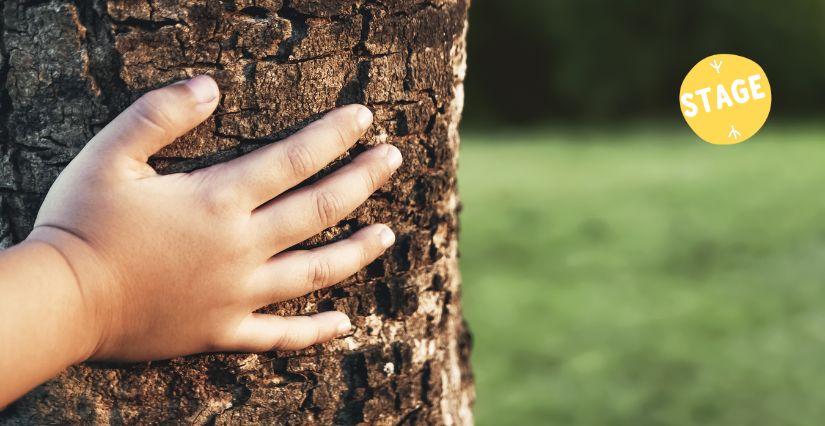 Stage ou atelier nature avec les Chemins de Traverse pour les vacances entre Dinan et Lamballe