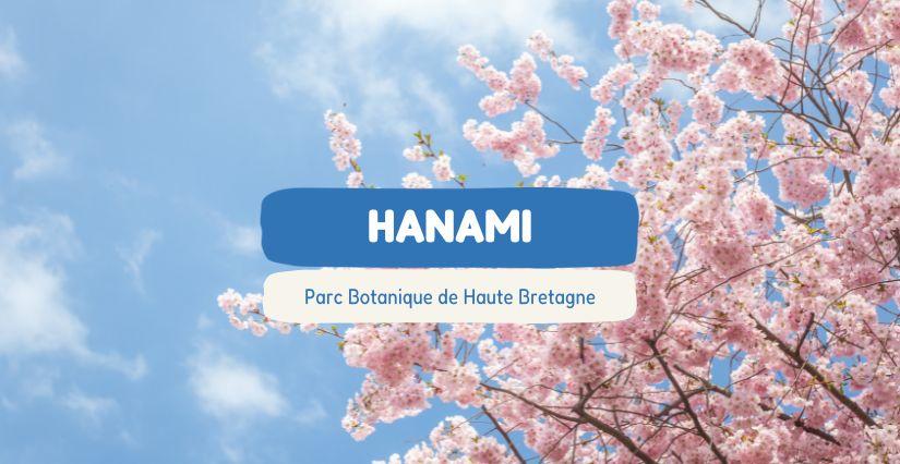 HANAMI, fête des cerisiers en fleurs en famille au Parc Botanique de Haute Bretagne près de Fougères