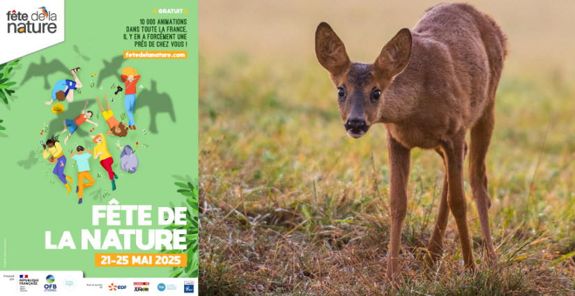 Fête de la nature : animations "Curieux par nature", près de Fougères