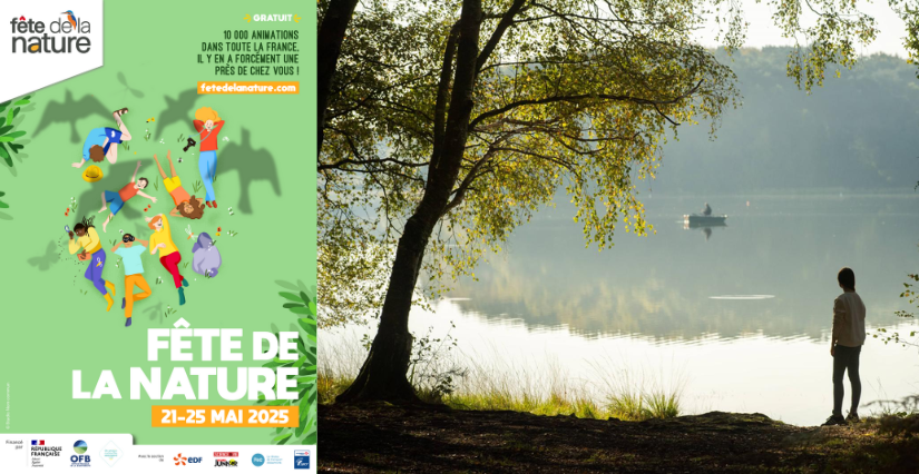 Fête de la Nature : "Promenons-nous", à l'étang de l'Abbaye près de Montfort-sur-Meu