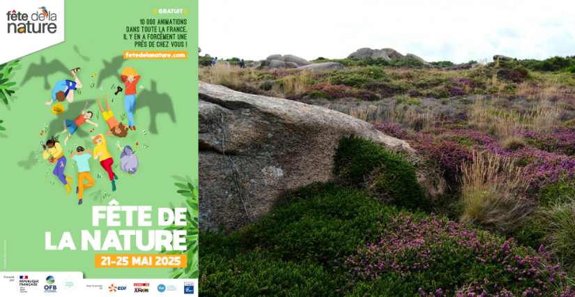 Fête de la Nature : Balade en famille dans les landes de Ploumanac'h près de Lannion