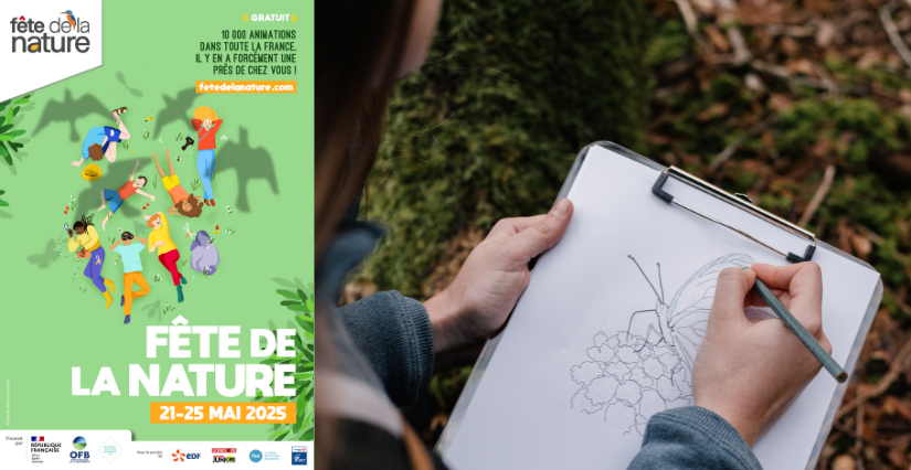 Fête de la Nature : Atelier "Dessinons la vallée de la Vilaine", à Vitré