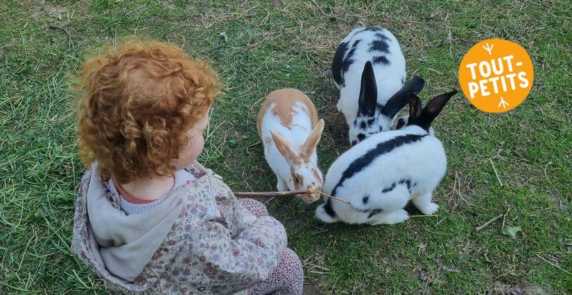 Atelier d'éveil pour enfants à la Ferme pédagogique La Roulotte des Animaux près de Rennes