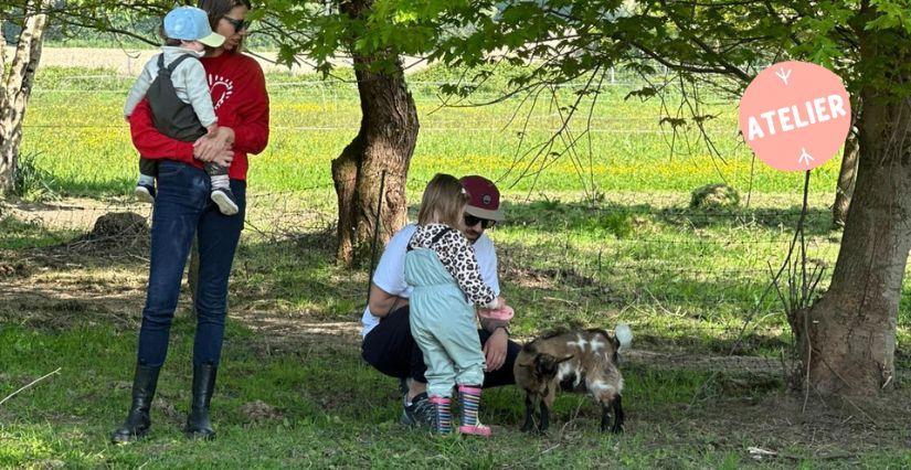 Atelier découverte en famille à la Ferme pédagogique La Roulotte des Animaux près de Rennes