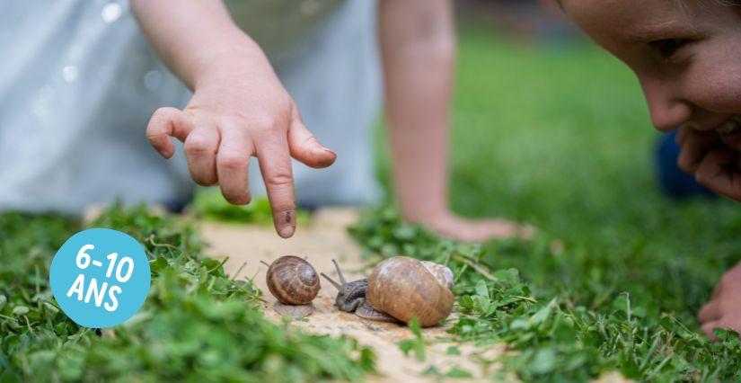 Ateliers nature autour des petites bêtes pour les enfants à la Maison de la Terre près de Saint Brieuc