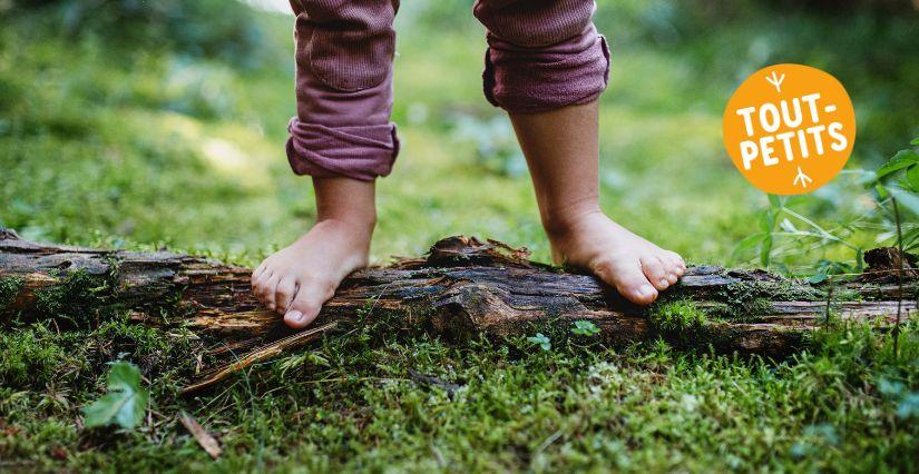 Atelier d'éveil nature et balade sensorielle pour les petits pieds curieux à la Maison de la Terre près Saint Brieuc