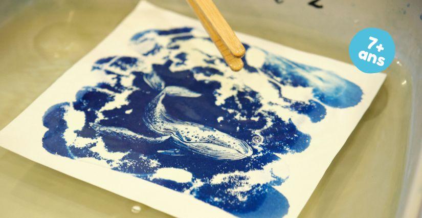 Atelier cyanotype pour enfants dès 7 ans , Festival E'môm'Tions 2025, à Châteaugiron