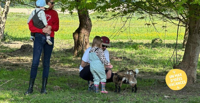 Animations nature pour les enfants, vacances à la Roulotte des animaux, au sud de Rennes