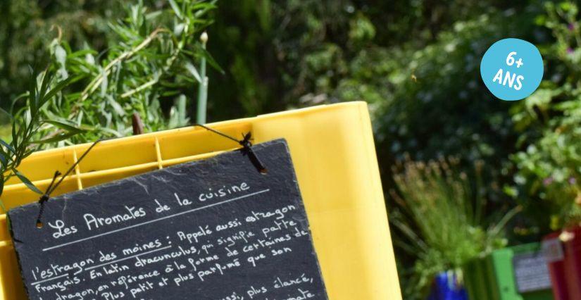 Atelier nature "Plantes médicinales et... plantes toxiques" aux Jardins de Brocéliande près de Rennes