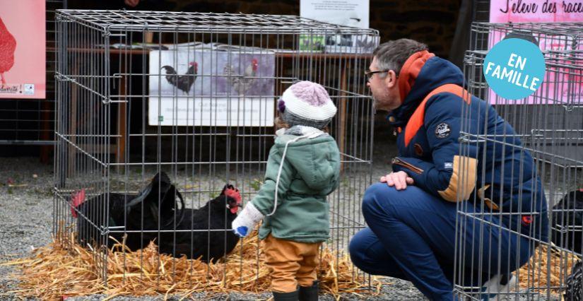 Ciné-marché des producteurs locaux à l'Ecomusée de Rennes