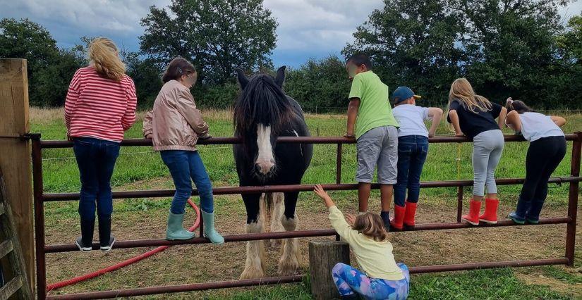 Fêter son anniversaire à la Roulotte des Animaux, près de Rennes