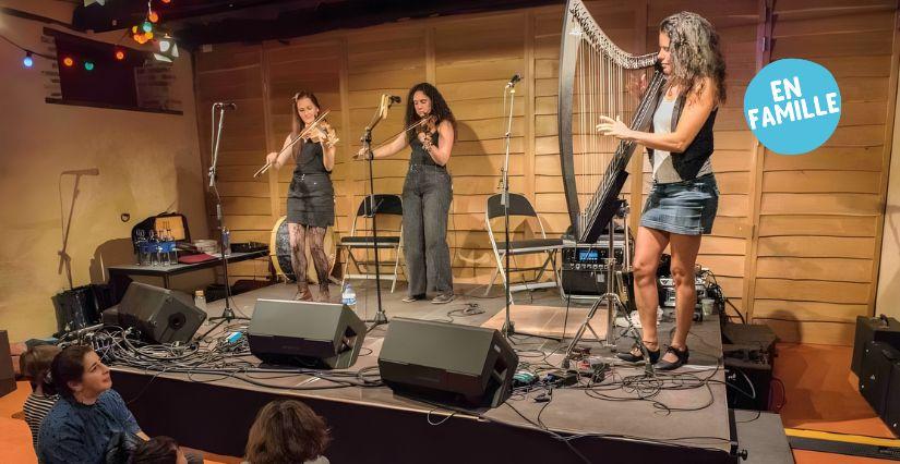 Festival Yaouank, Ecomusée de la Bintinais, crédits photo : Jean Maurice Colombel Festival "Yaouank" pour les familles à l'Ecomusée de Rennes