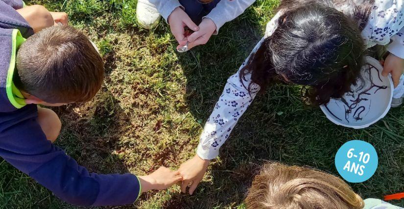 Découverte de la nature et balde en sous-bois pour les enfants à la Maison de la Terre près de Saint Brieuc