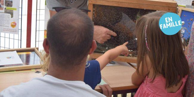 Animation "Les abeilles et les plantes méllifères" aux Jardins de Brocéliande près de Rennes