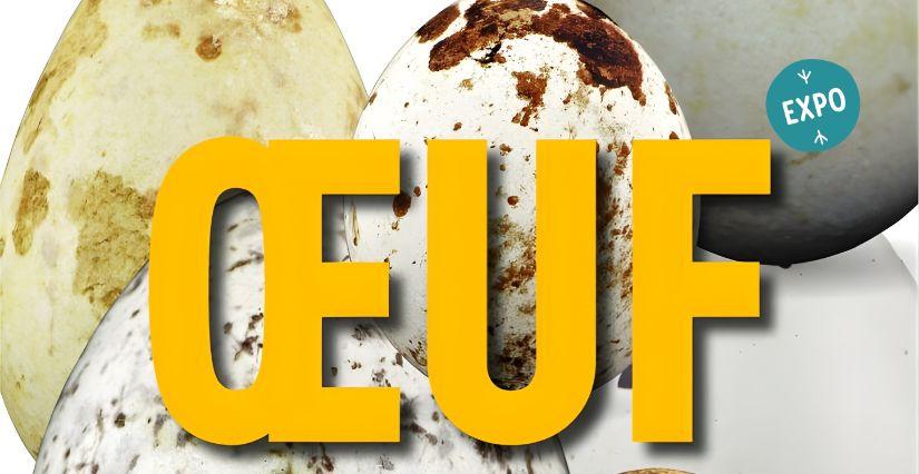 Exposition en famille "Oeuf", en plein air à la Maison de la Terre, près de Saint-Brieuc