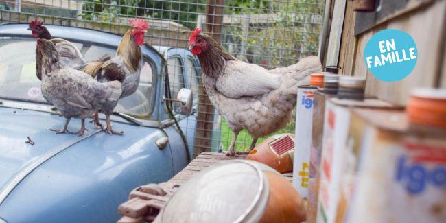 Pâques aux jardins 2026 : contes et jeu de piste en famille aux Jardins de Brocéliande