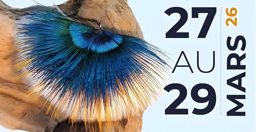 Salon des métiers d'art 2026 à Châteaugiron