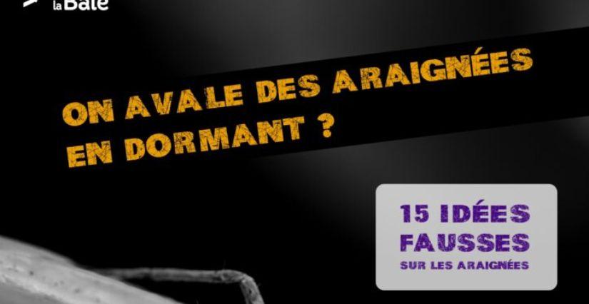 "On avale les araignées en dormant ?", exposition extérieure en famille, la Maison de la Terre, Saint Brieuc