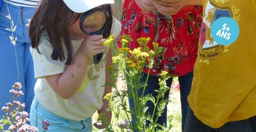 Animation nature en famille "Sur la piste des animaux" à la Maison de la Terre, près de Saint Brieuc